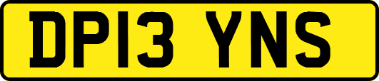 DP13YNS