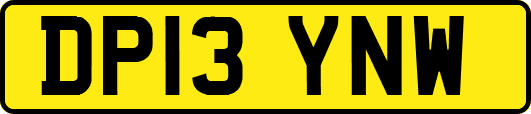 DP13YNW