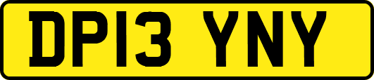 DP13YNY