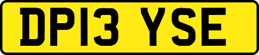 DP13YSE