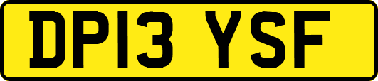 DP13YSF