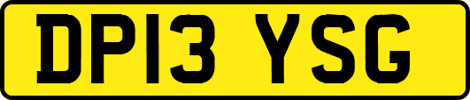 DP13YSG