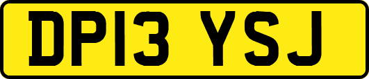 DP13YSJ