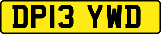 DP13YWD