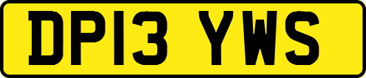 DP13YWS