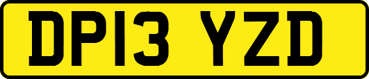 DP13YZD