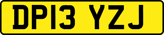DP13YZJ