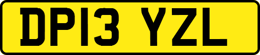 DP13YZL