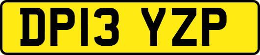 DP13YZP