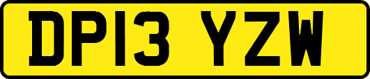 DP13YZW
