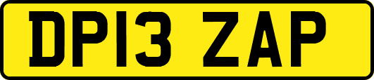 DP13ZAP