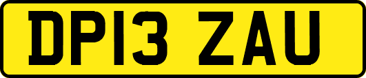 DP13ZAU
