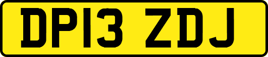 DP13ZDJ