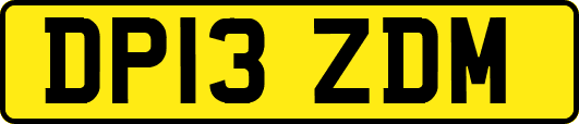 DP13ZDM