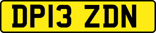 DP13ZDN