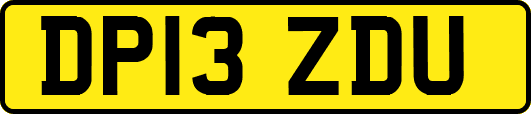 DP13ZDU