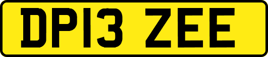 DP13ZEE