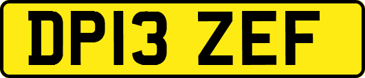 DP13ZEF