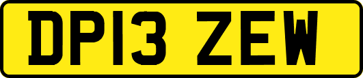 DP13ZEW