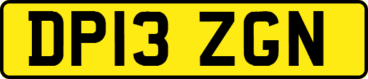 DP13ZGN