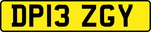 DP13ZGY