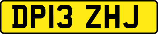 DP13ZHJ