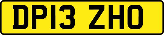 DP13ZHO