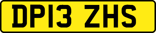 DP13ZHS