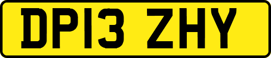 DP13ZHY
