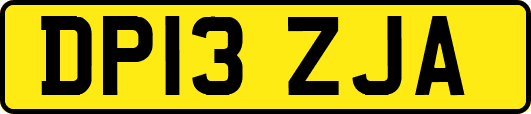 DP13ZJA