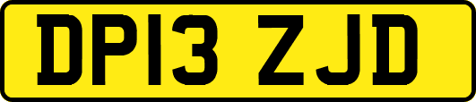 DP13ZJD
