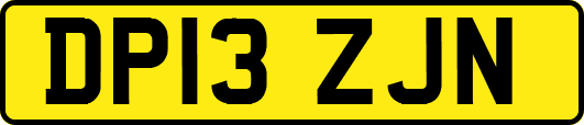DP13ZJN