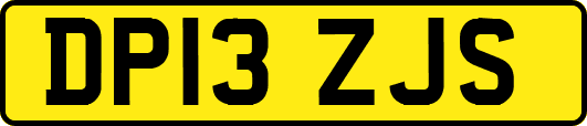 DP13ZJS