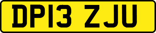 DP13ZJU