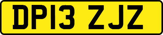 DP13ZJZ