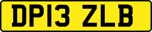 DP13ZLB