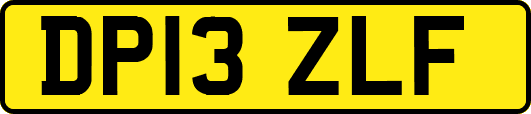 DP13ZLF