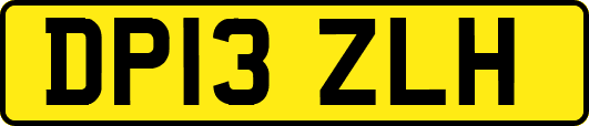 DP13ZLH