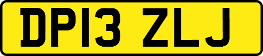 DP13ZLJ