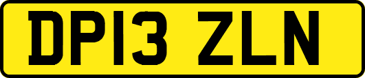 DP13ZLN