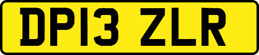 DP13ZLR