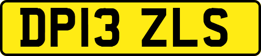 DP13ZLS