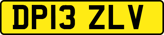 DP13ZLV