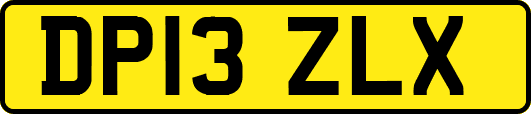 DP13ZLX