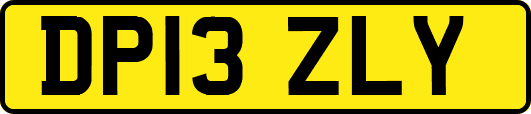 DP13ZLY