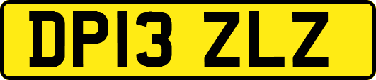 DP13ZLZ