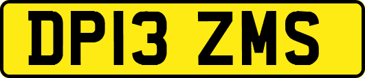 DP13ZMS