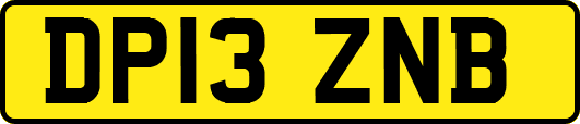 DP13ZNB