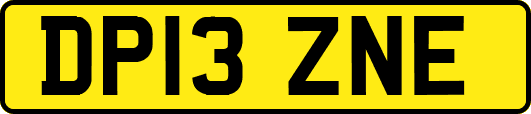DP13ZNE