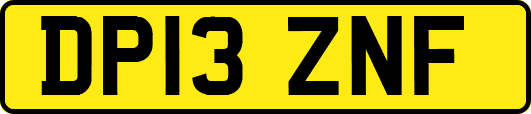 DP13ZNF